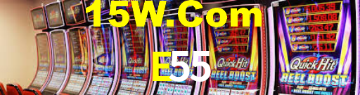E55