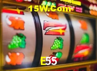 Login Seguro E55